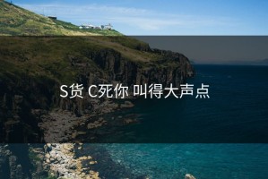 S货 C死你 叫得大声点