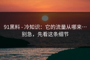 91黑料 - 冷知识：它的流量从哪来…别急，先看这条细节
