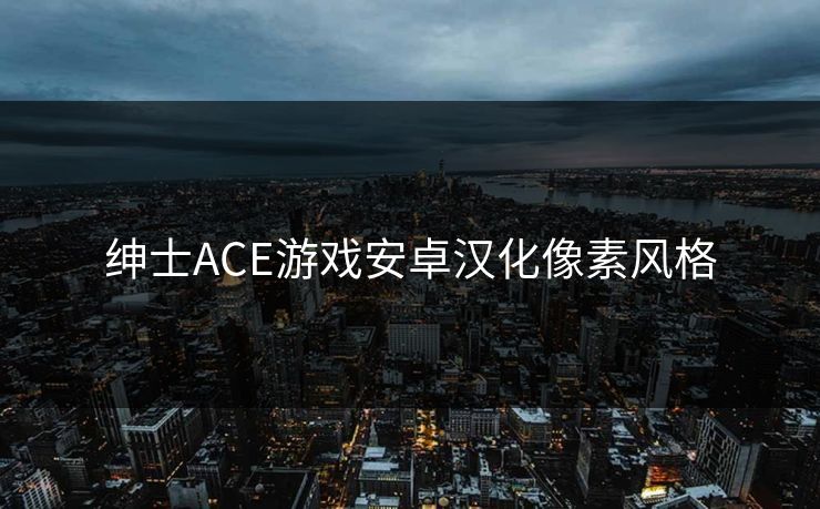 绅士ACE游戏安卓汉化像素风格