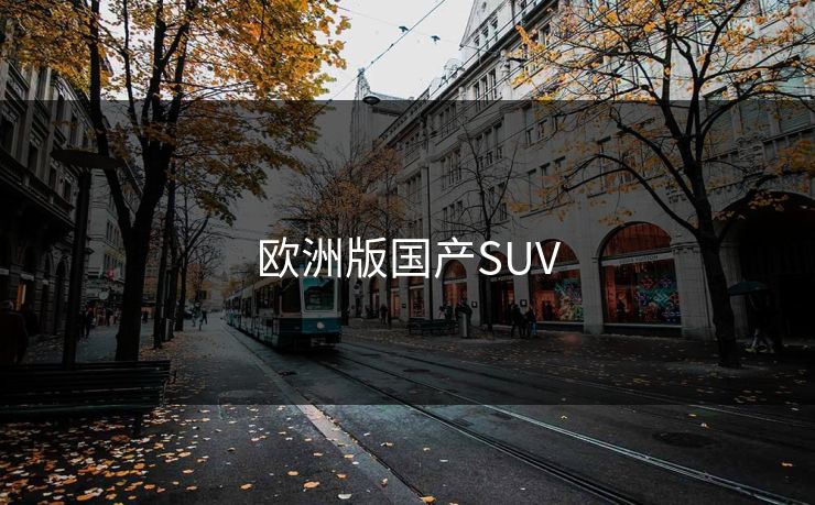 欧洲版国产SUV