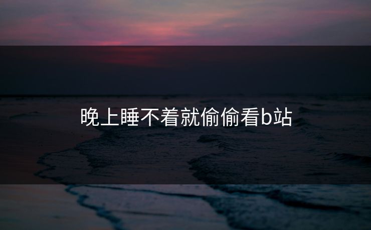 晚上睡不着就偷偷看b站