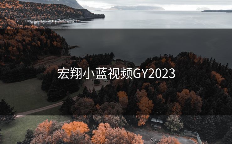宏翔小蓝视频GY2023