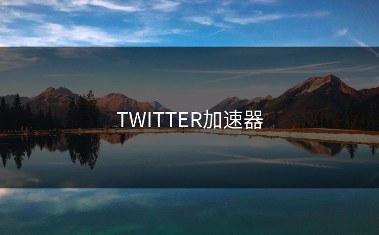 TWITTER加速器