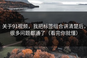 关于91视频，我把标签组合讲清楚后，很多问题都通了（看完你就懂）